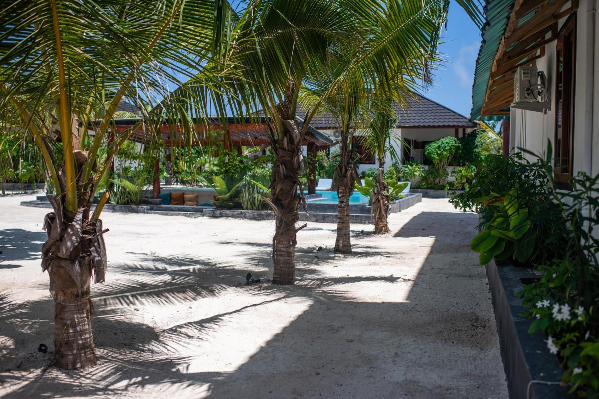Baobab Bungalows Jambiani  Εξωτερικό φωτογραφία