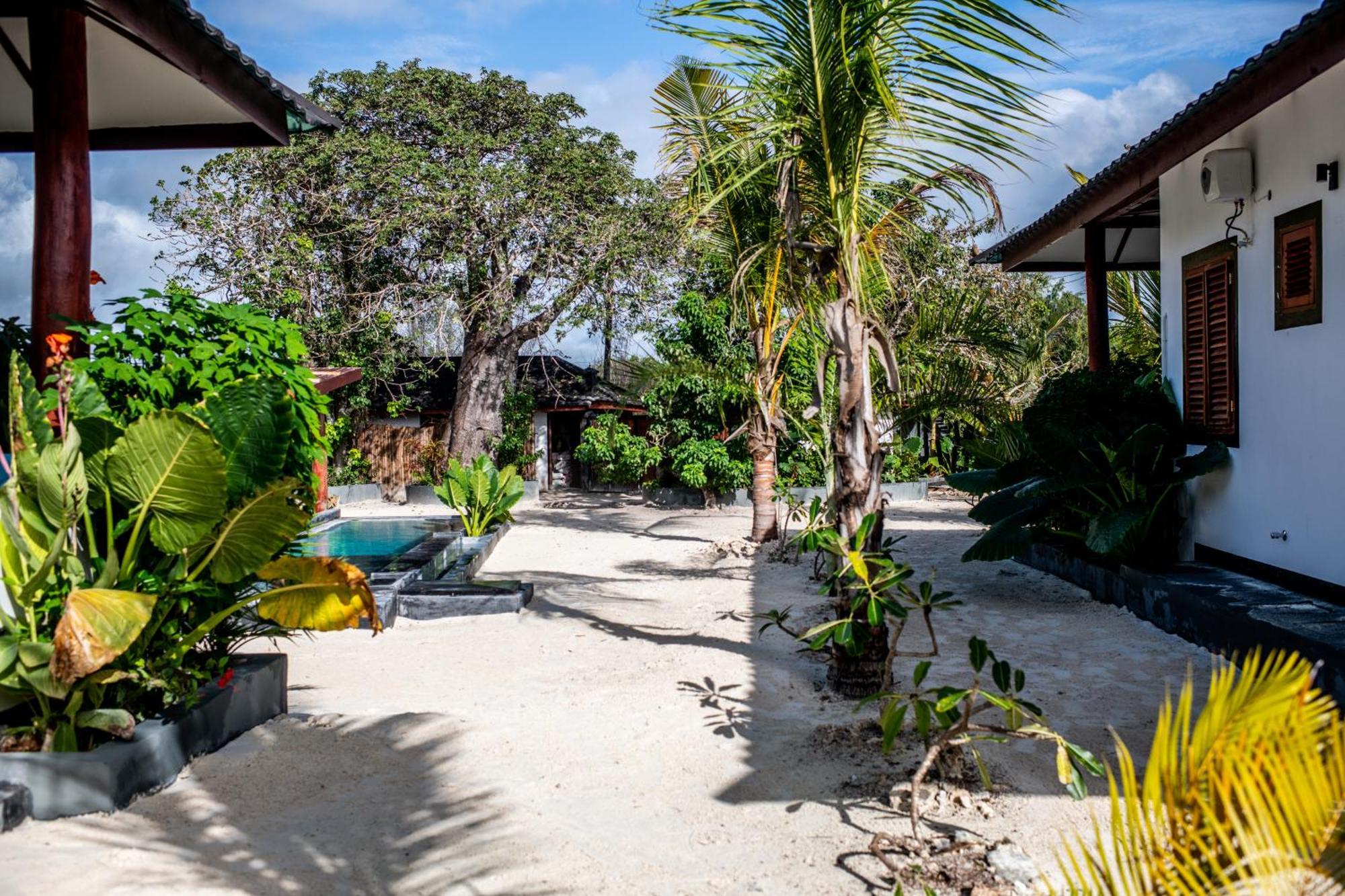 Baobab Bungalows Jambiani  Εξωτερικό φωτογραφία
