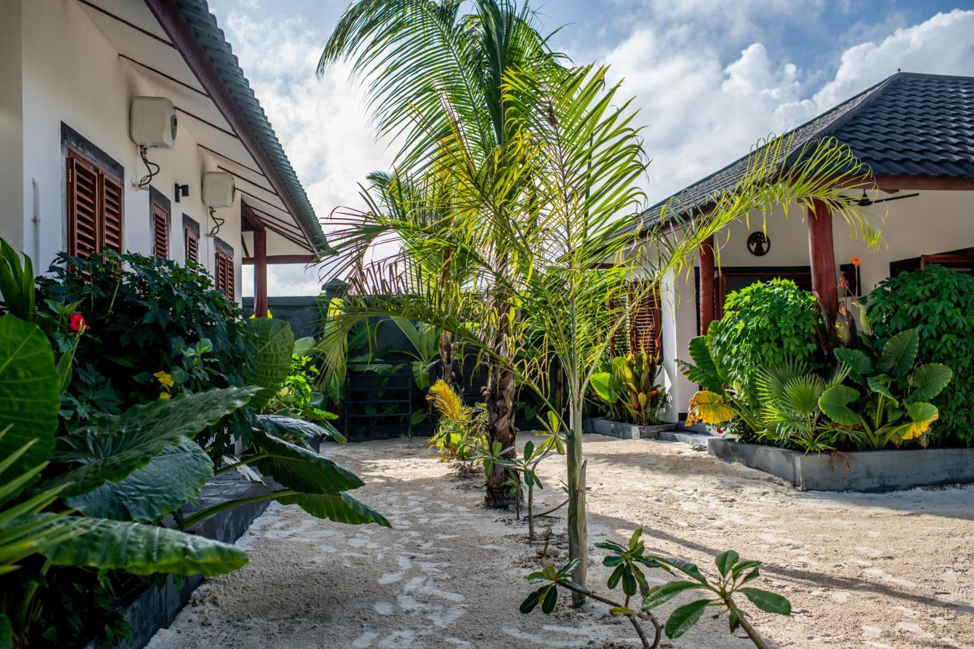 Baobab Bungalows Jambiani  Εξωτερικό φωτογραφία