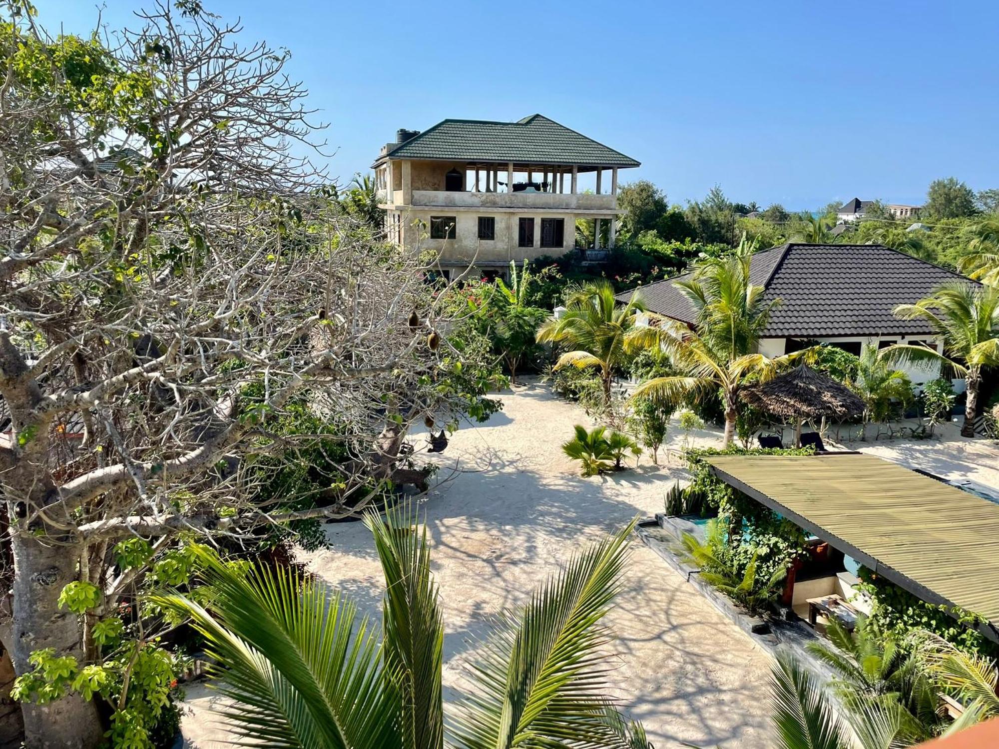 Baobab Bungalows Jambiani  Εξωτερικό φωτογραφία