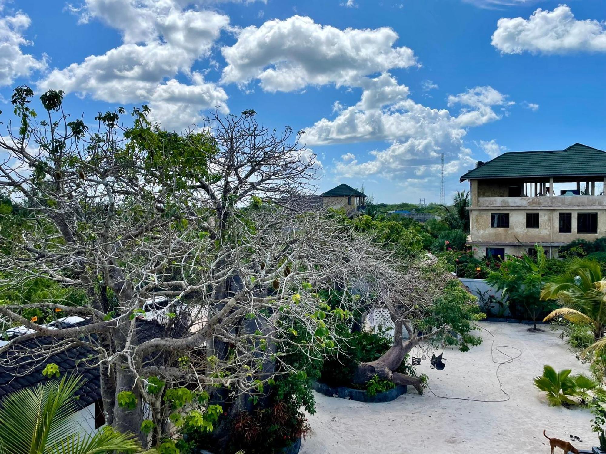 Baobab Bungalows Jambiani  Εξωτερικό φωτογραφία